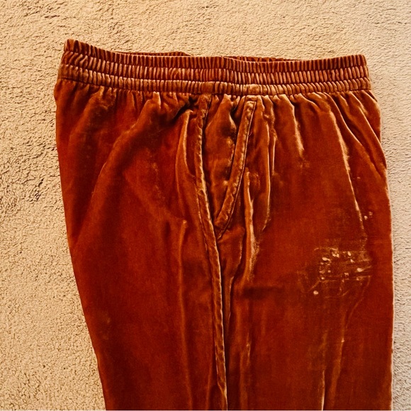 Madewell Gold Velvet Track Pants, size M - Picture 9 of 15